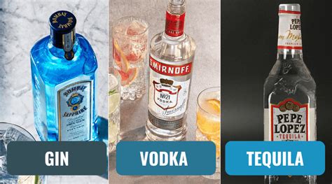 Comparação Gin vs Tequila Qual é mais forte O Contador de Cervejas