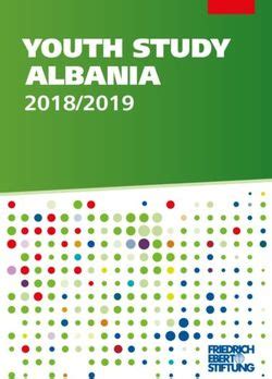 Youth Study Albania Bibliothek Der Friedrich Ebert Stiftung