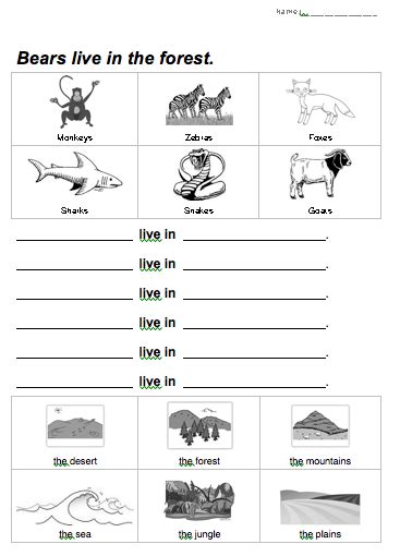 Animal Habitat Worksheets Animal Habitat Worksheet