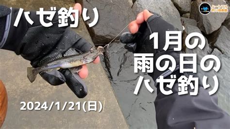 【ハゼ釣り】 1月の雨の日のハゼ釣り 2024年1月21日 Youtube