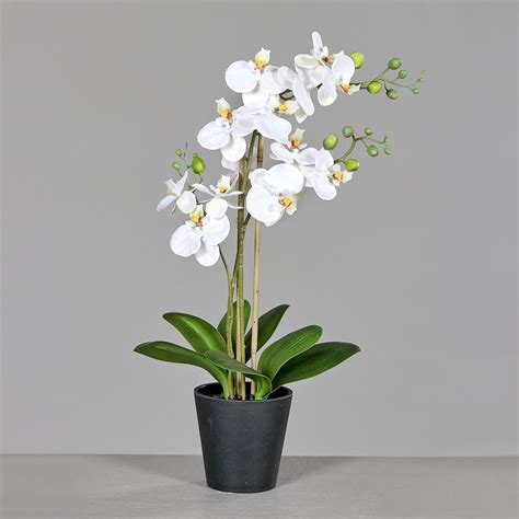 Orchidee Im Schwarzen Kunststofftopf Cream Ca Cm Kunstblumen