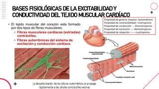 Electrocardiograma Desde Inicio Ondassss Ppt