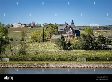 Jesuitengarten vineyard and Schloss Johannisberg winery Stock Photo - Alamy