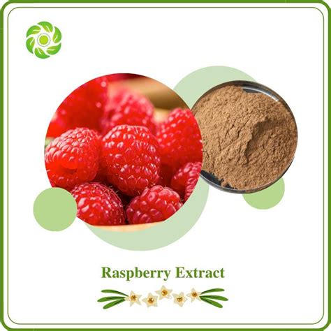 World Well Being Food Additive Raspberry Extract 5 98 Raspberry