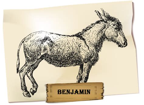 Benjamin Animal Farm Description And Analysis Animalfarm