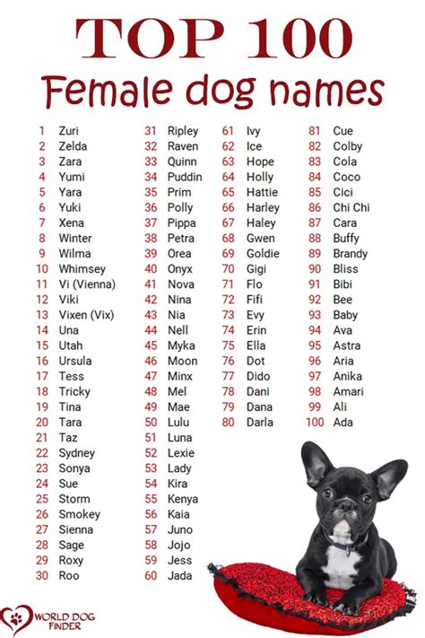 female dog names    choose