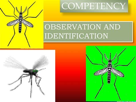 Ppt A Treat For Mosquitoes Powerpoint Presentation Free Download