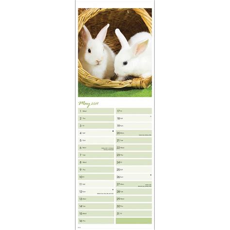 Bunnies Slim Wall Calendar 2019 101696