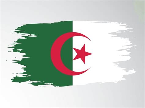 Drapeau D'algerie Royalty-Free Images, Stock Photos & Pictures ...