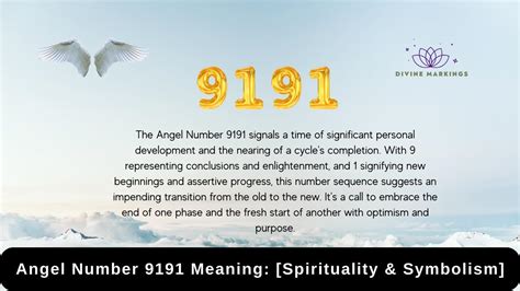 9191 What Is This Number