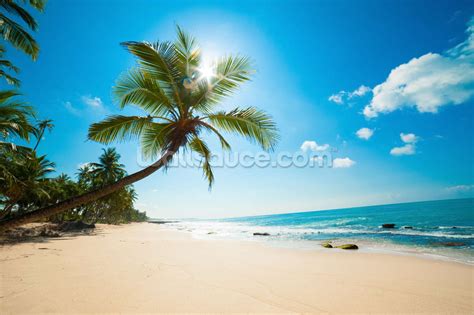 Tropical Beach Wallpaper Mural Wallsauce UK