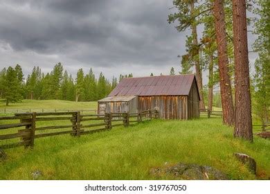 Yosemite Cabin Yosemite National Park California Stock Photo 319767050 ...