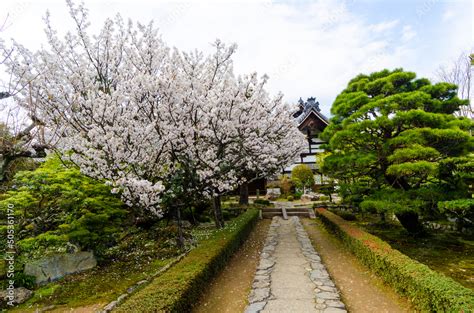 Tenryuji Temple complex. Arashiyama is located outside Kyoto. Unesco ...