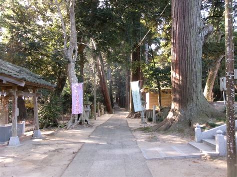 千葉県東金市のパワースポット”日吉神社”と徳川家康の関係性｜千葉県東金市・外房｜エクステリア・庭工事・ウッドデッキ｜ダイカワ