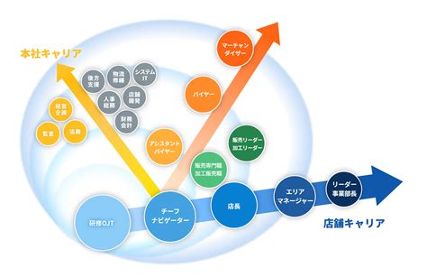 キャリアステップ｜制度・働き方｜採用情報｜ゼビオグループ