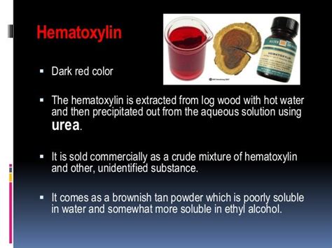 Hematoxylin And Eosin Staining Complete Guide