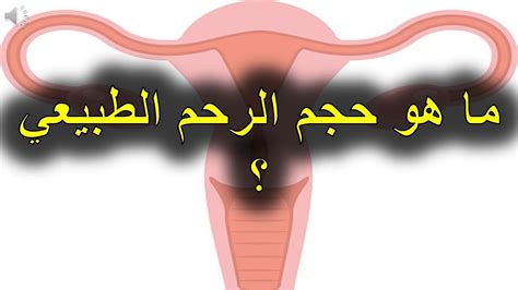 حجم الرحم الطبيعي ما هو حجم الرحم الطبيعي المرأة العصرية