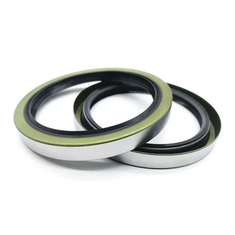 Different Type Industrial Machinery Hydraulic Rubber Shaft Seal Double