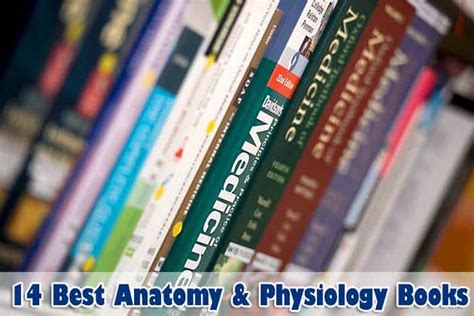 Best Anatomy And Physiology Books Anatomy Textbooks Bioexplorer