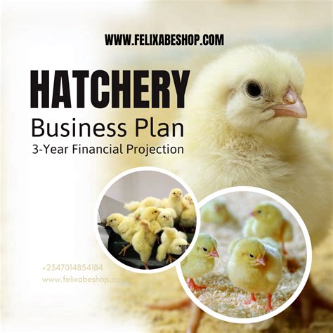 Hatchery Business Plan Felixabeshop