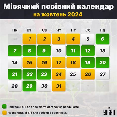 Посівний календар на жовтень 2024 що обовязково зро6ити на ділянці