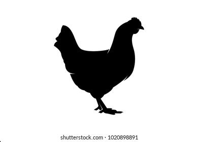 Chicken Silhouette