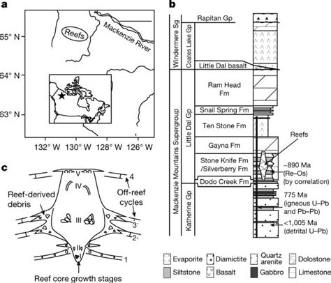 New Fossils Push The Origin Of Animals Back To Nearly 900 Million Years