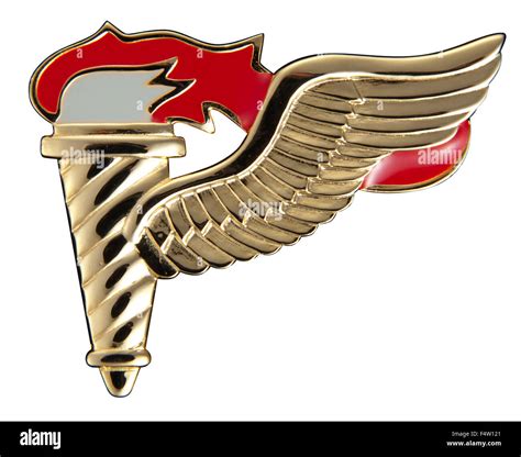 US Military Pathfinder badge Stock Photo - Alamy