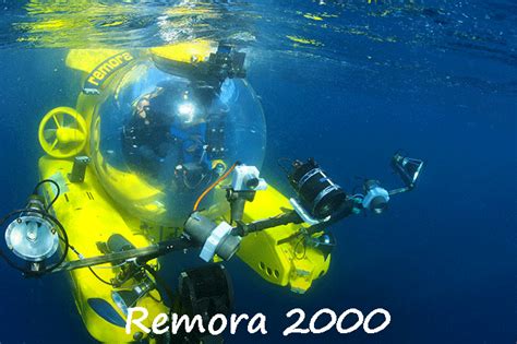 Remora C Provence