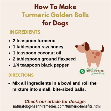 Turmeric Benefits for Dogs | Dosage and How to Give to Dogs