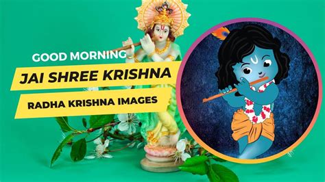 Beautiful Good Morning Krishna Images Jai Shree Krishna