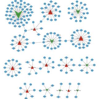 Demirna Screening And Mirna Target Gene Regulatory Network Heatmap Of