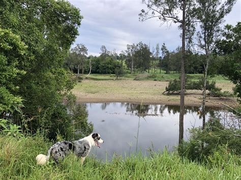 Cameron Falls Farm Hipcamp In Rosewood New South Wales