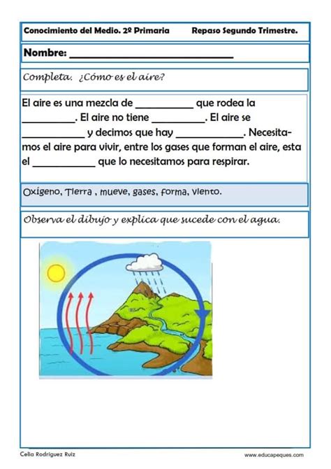 Conocimiento Del Medio Primaria 25 Fichas De Ejercicios