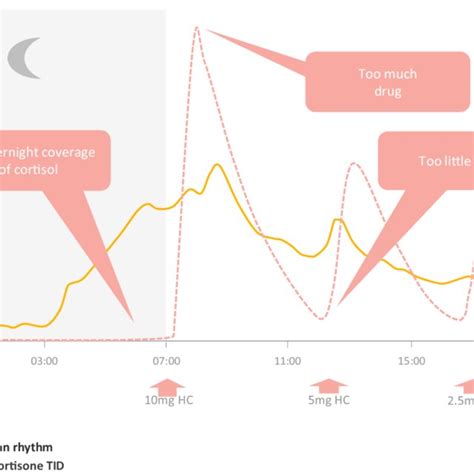 Pdf Chronotherapy Based On Modified Release Hydrocortisone To Restore