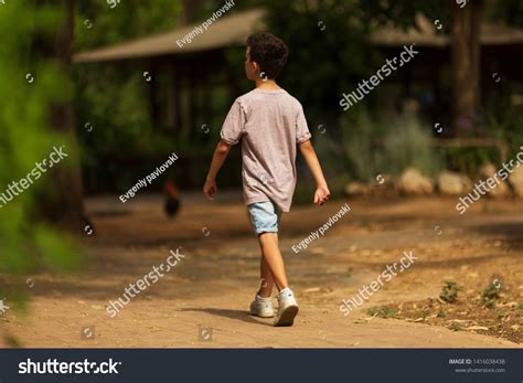 Little Kid Boy Walking Alone Forest Stock Photo 1416038438 | Shutterstock