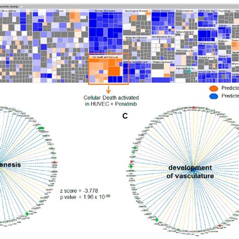 Comparative Proteomic Analysis Of Endothelial Cells Exposed To