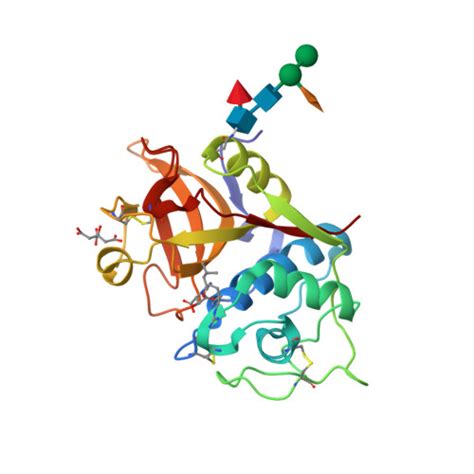 Rcsb Pdb Ycf Structure The Bromelain Protease From Ananas Comosus