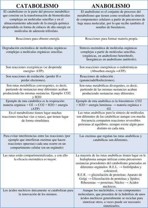 Cuadros Comparativos Anabolismo Y Catabolismo Descargar