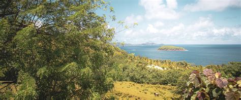 visit fort de france  travel guide  fort de france martinique