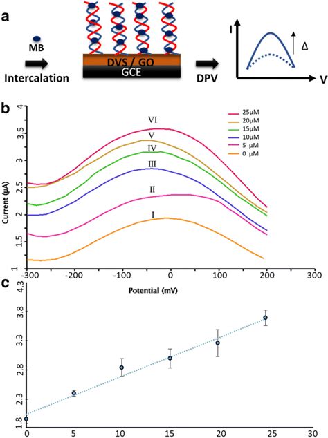 Dpv To Detect Complementary Dna A Illustration Of Hybridization Of