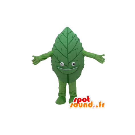 Purchase Green leaf mascot, giant and smiling in Mascots of plants