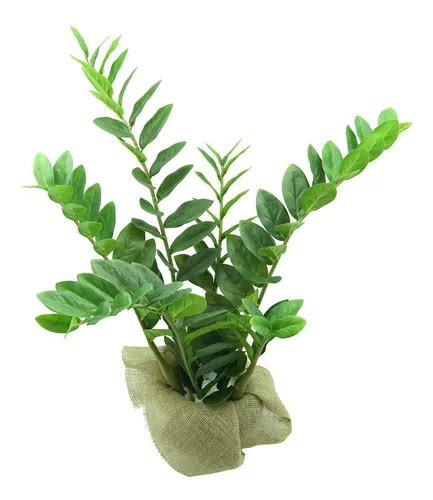 Zamioculca Artificial Planta Folhagem Suculenta Arvore 83cm Frete grátis