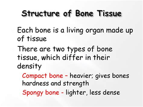 Osteology Study Of Bone Structure And Function Bones Are Organs Ppt