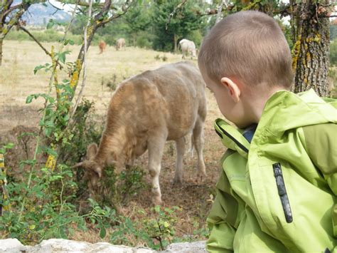 Club 32 Actividades con niños Parque Natural del Hayedo de Tejera Negra