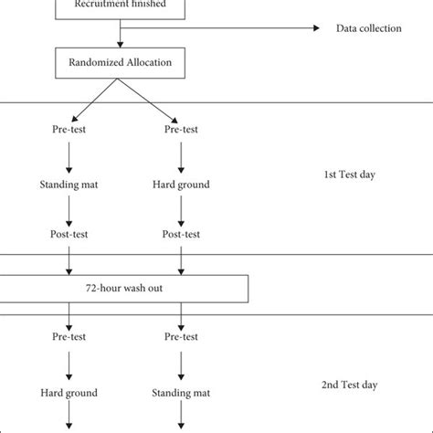 The schematic diagram of the trial. | Download Scientific Diagram