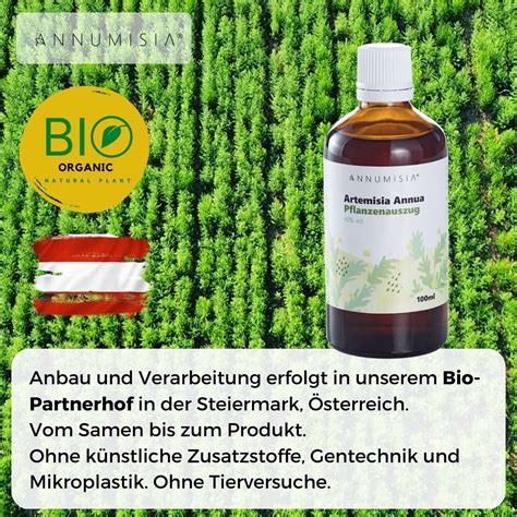 ANNUMISIA Artemisia Annua Pflanzenauszug 100 Ml Shop Apotheke