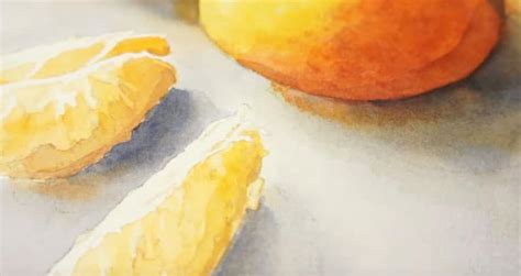 Watercolor Still Life (Beginners Step by Step Tutorial)