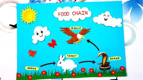 Food Chain Model | Make And Explain A Food Chain Science Project |5 ...