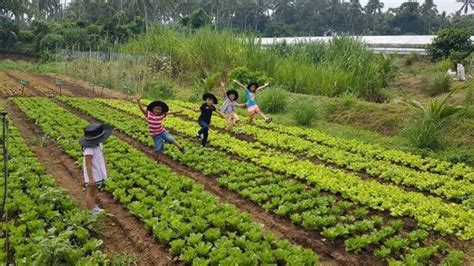 Farm Experiences Near Manila For Your Next Weekend Escape Tripzilla